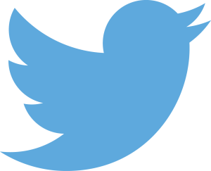 Anonymous Twitter Accounts: The Good, the Bad, and the Ugly