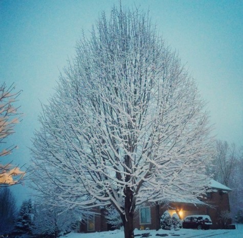 The Most Wonderful Time of the Year?