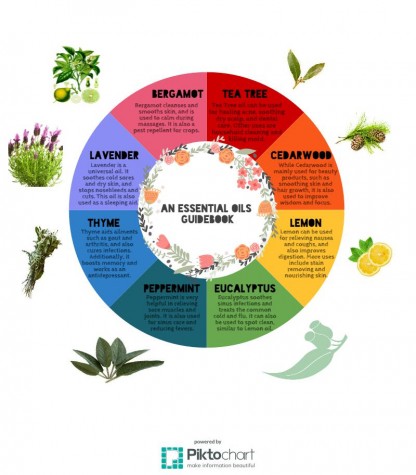 An Essential Oils Guideboook