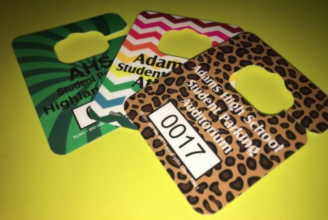 Parking Pass Perplexities