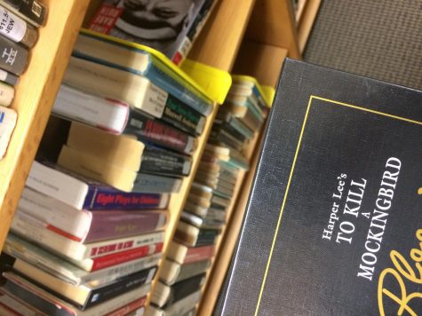 Rubbing Out Racial Reads