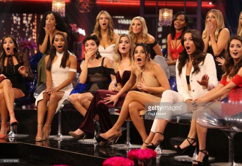 The Backstabbing Bachelor
