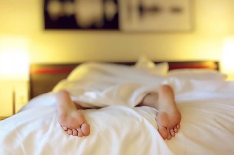 The Need for Sleep