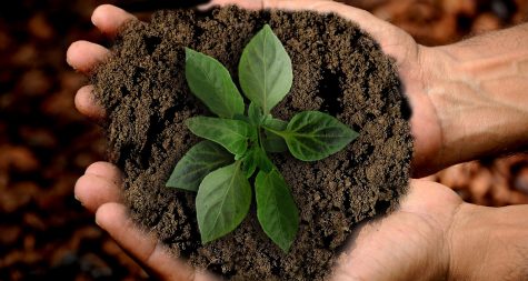 Springing into Earth Day