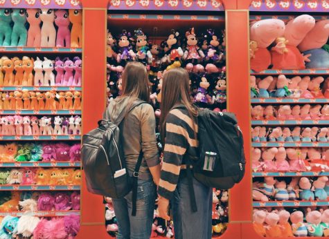 The Rise and Fall of Toys “R” Us
