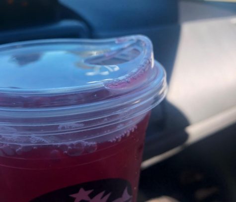 Harming the Environment One Straw at a Time
