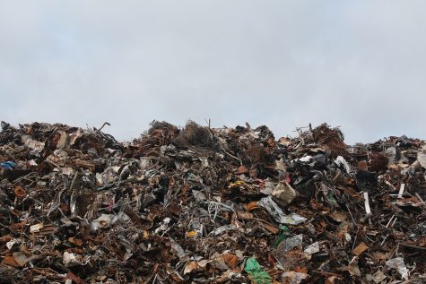 Global Warming: Community or Company
