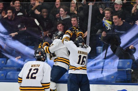 Rochester United Hockey 2019-2020