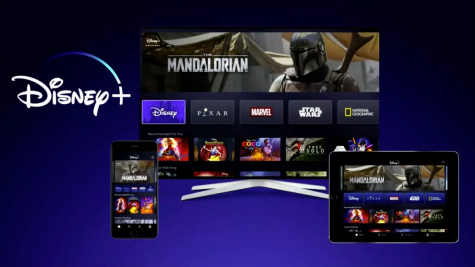 Everything You Need To Know About Disney+