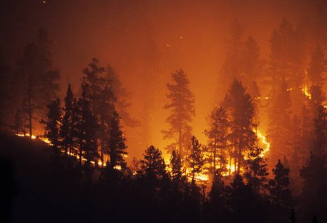 A New Way to Fight Wildfires