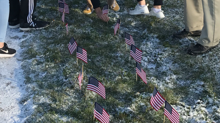 Hundreds of flags spaced out along the grass and Adams Road.