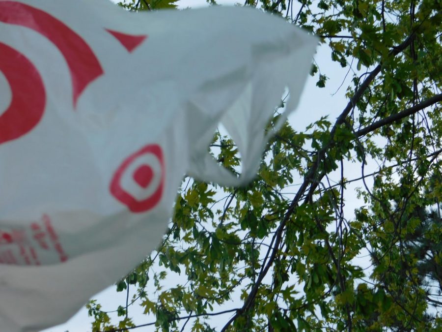 Plastic bags are a common form of plastic that pollutes the oceans.