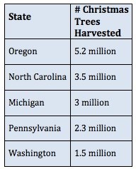 Chart showing how many trees the main tree producers harvest.