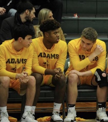 Fresh Faces on the Hardwood
