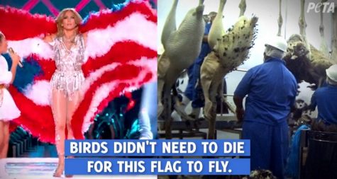 PETA’s tweet
Tweet from PETA displaying Jennifer Lopez wearing a feather flag and birds in a slaughterhouse.
